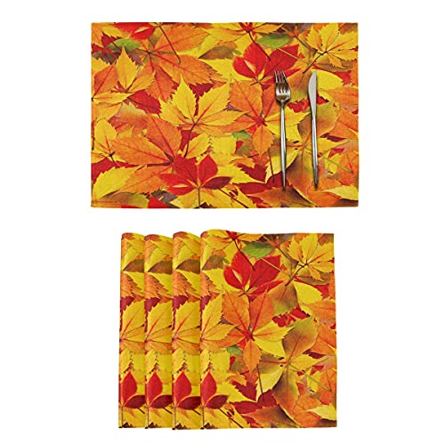 Autumn 1