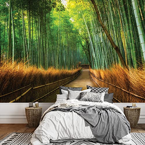 Pathway in a Bamboo Forest