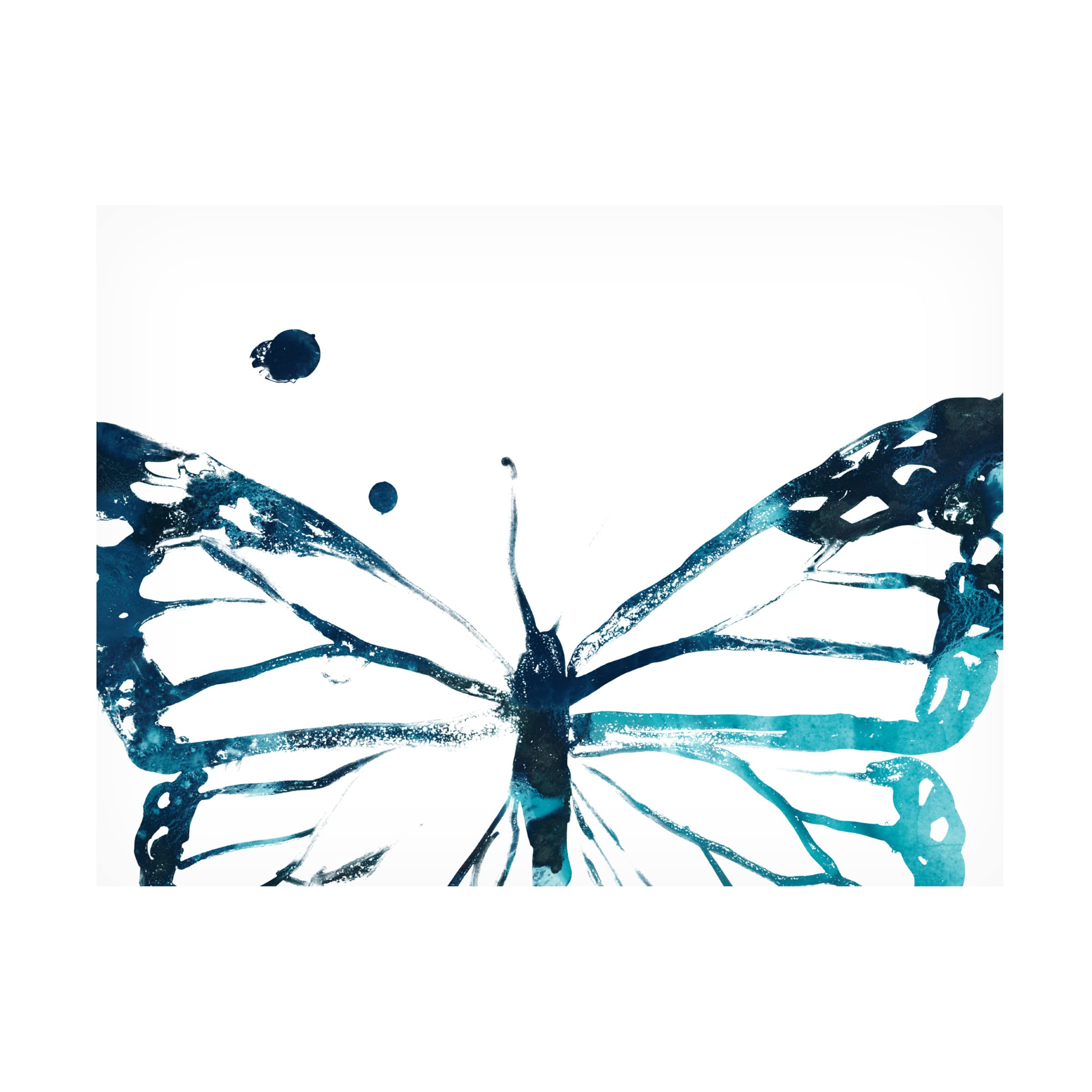 Trademark Fine Art 'Butterfly Imprint III' Canvas Wall Art Print by June Erica Vess - Modern Home Decor for Living Room, Bedroom & Office