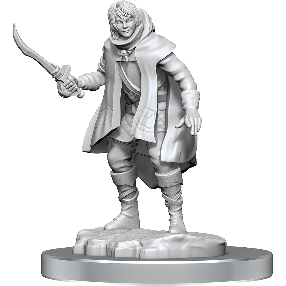 D&D Miniatures - Nolzur's Marvelous Miniatures Elf Rogue & Half-Elf Rogue Protege Set for Tabletop RPG Gaming & Dungeons & Dragons Campaigns
