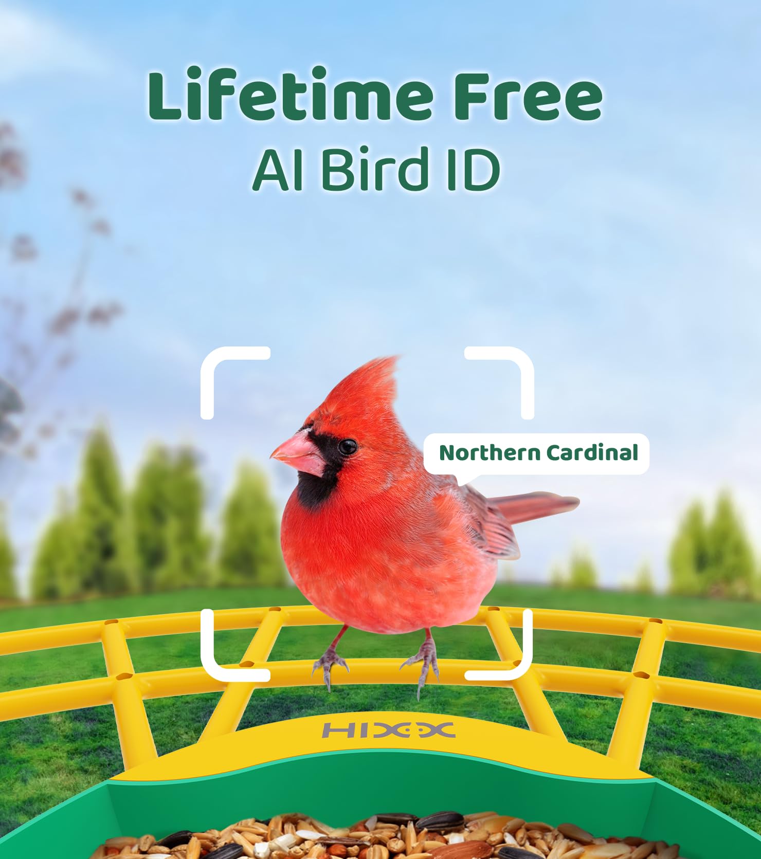 HIXX Smart Bird Feeder with Camera - Solar Powered Wildlife Camera with AI Bird Identification, Auto Video Recording & Instant Alerts | Perfect for Backyard Birdwatching, Nature Lovers & Unique Gift Ideas