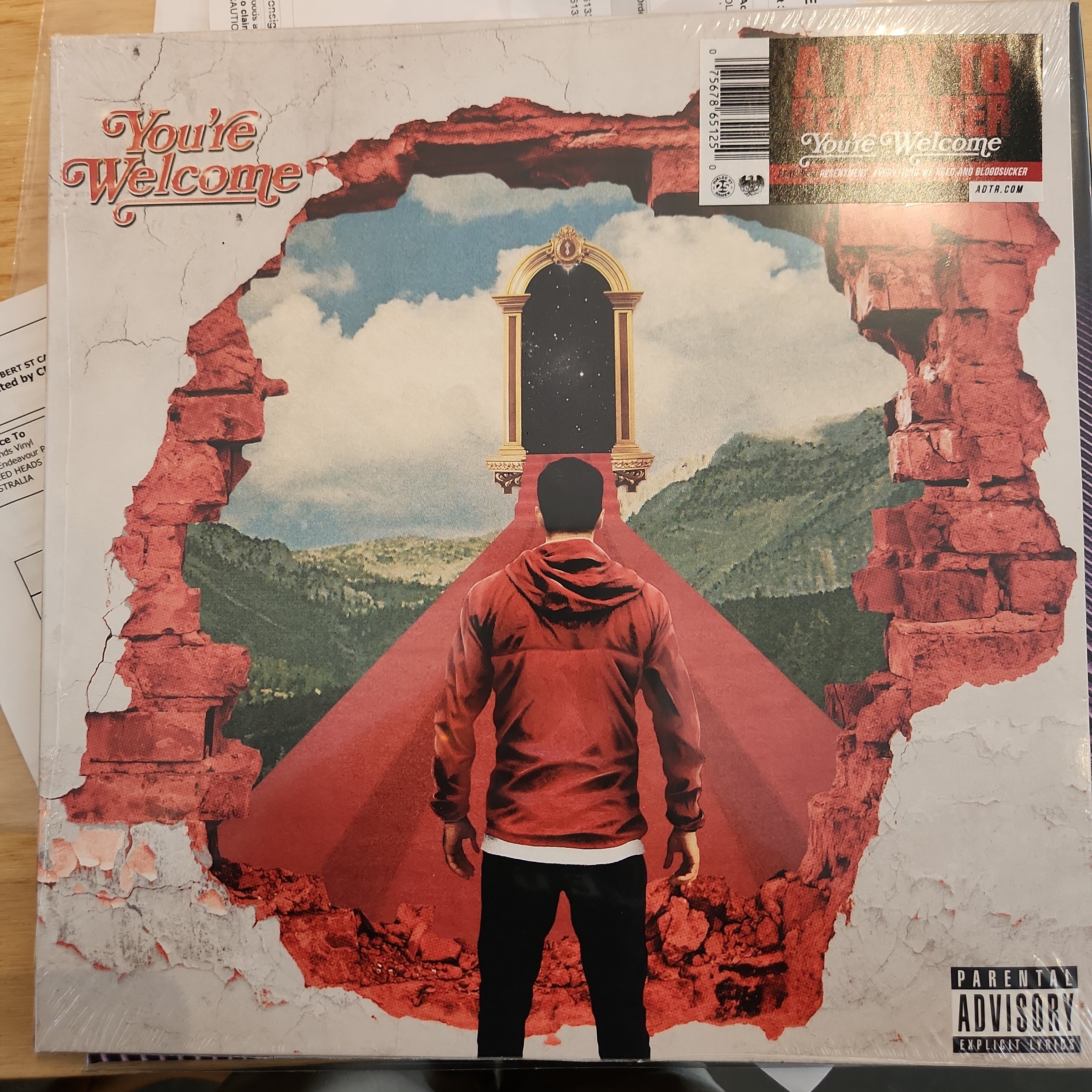 A Day to Remember - You're Welcome Vinyl LP Record | Punk Rock Music Album for Collectors & Fans | Perfect for Home Listening & Gifts