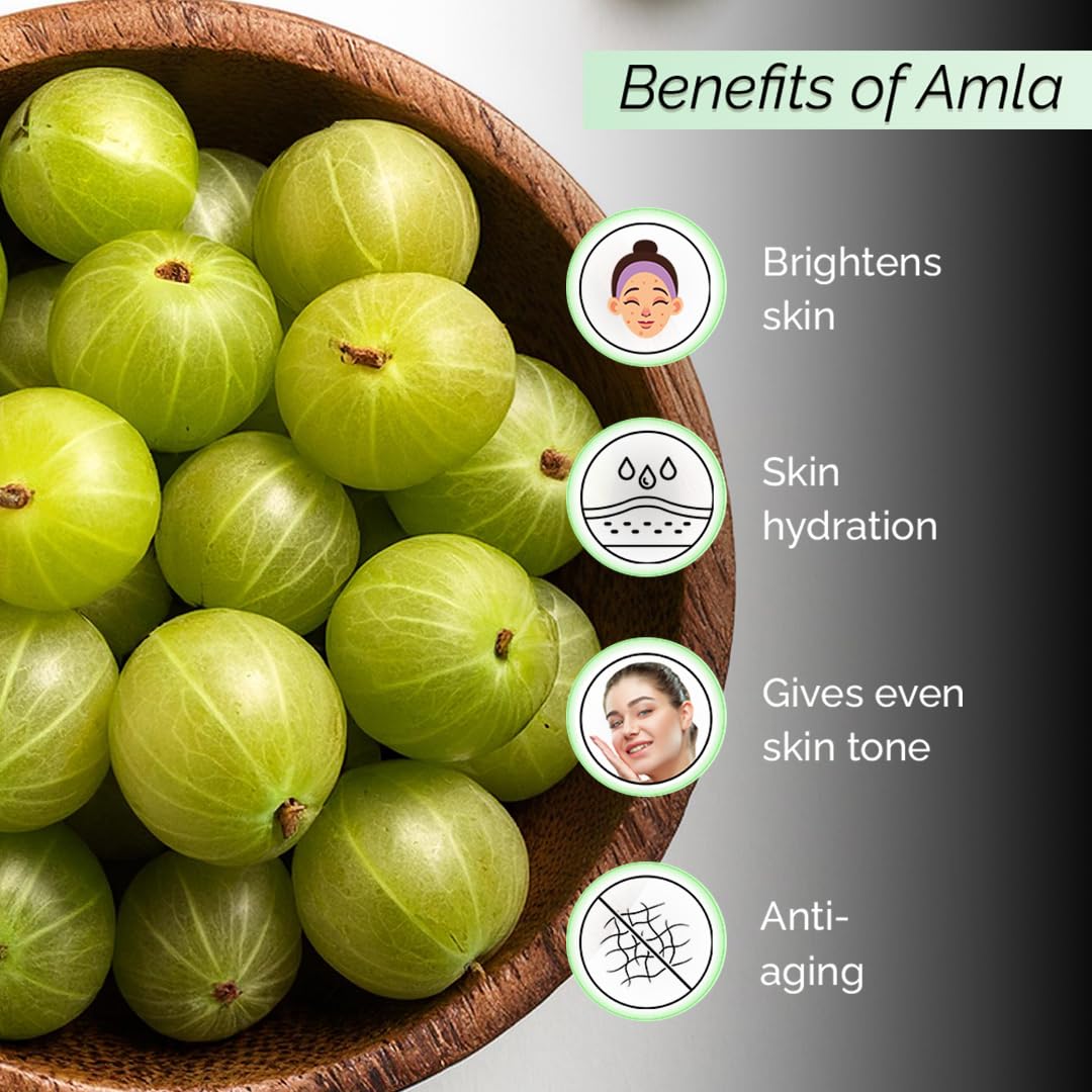 PYOURA Skin Brightening Amla Face Toner Mist 100ml - Anti-Aging Facial Toner for Wrinkles, Dark Spots & Pigmentation - Hydrating Natural Face Serum for Oily, Dry & Combination Skin - Perfect for Daily Skincare Routine & Travel-Friendly Beauty Essential