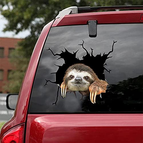 Sloth