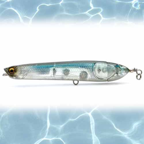 GHOST MINNOW