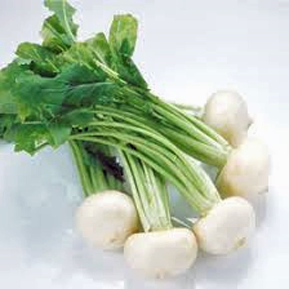 Philadelphia White Box Radish Seeds - Heirloom, Non-GMO, 5000 Count for Home Gardening | Perfect for Salads, Pickling & Container Planting