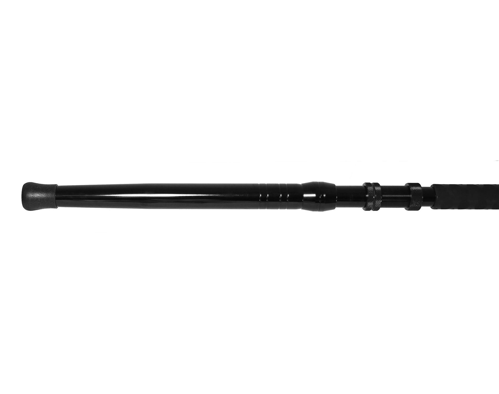 Jigging World Raptor Casting Rods - High Performance Saltwater Fishing Rod for Bass, Walleye & Trout | Perfect for Offshore, Inshore & Freshwater Fishing Adventures