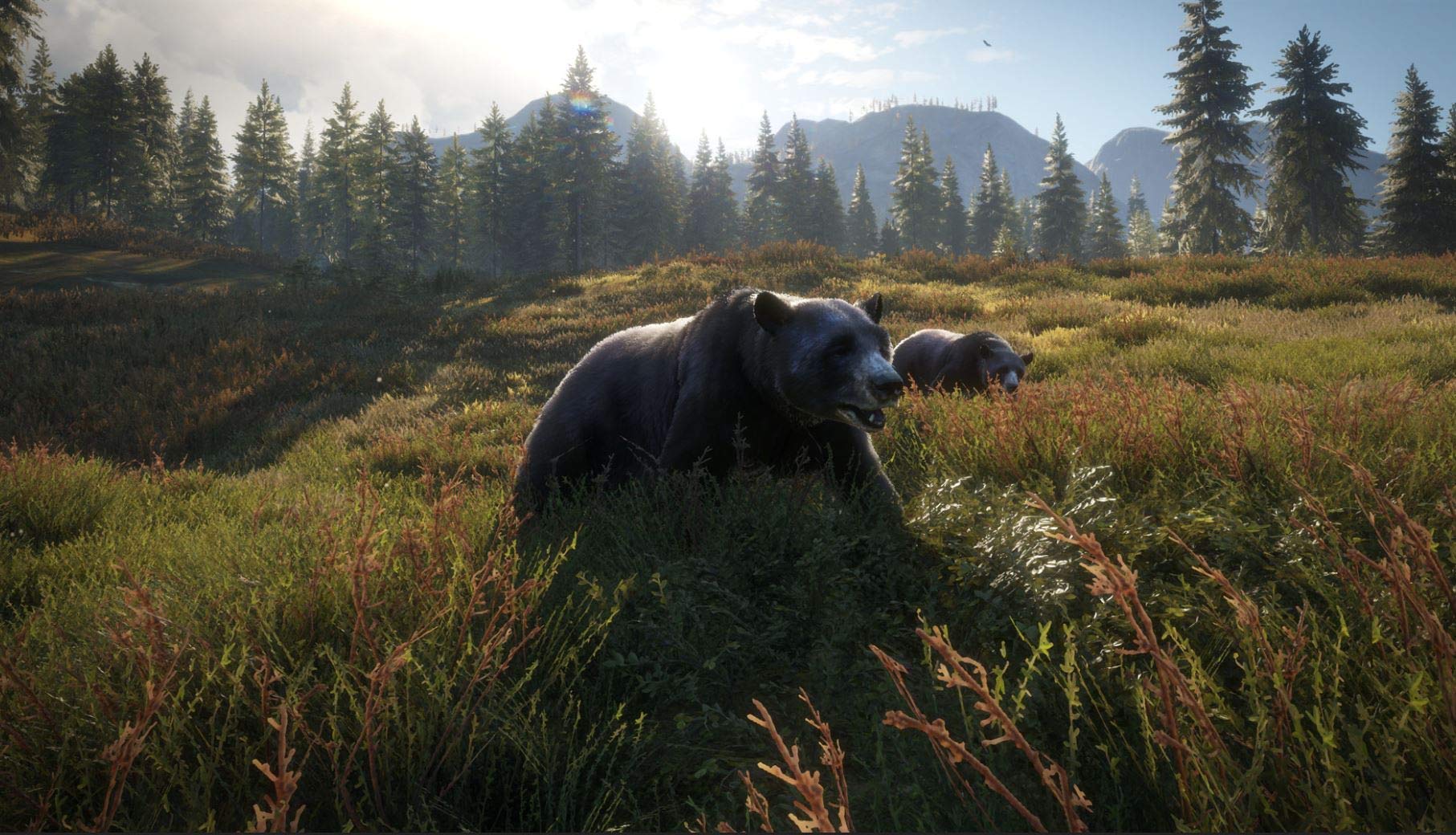 TheHunter: Call of the Wild - 2019 Edition (Renewed) for Xbox One | Open World Hunting Simulation Game | Perfect for Outdoor Enthusiasts & Nature Lovers