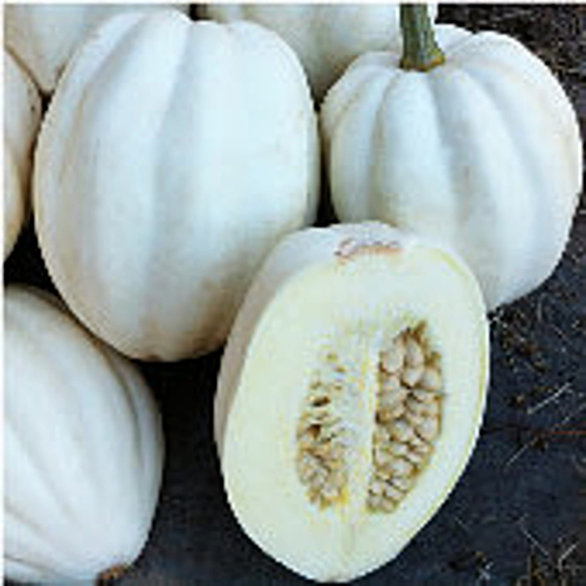 Organic Non-GMO Mashed Potato Squash Seeds (20+ Seeds) - Heirloom Vegetable Seeds for Planting | Home Garden, Greenhouse, Backyard Farming | Perfect for Soups, Roasting & Healthy Recipes