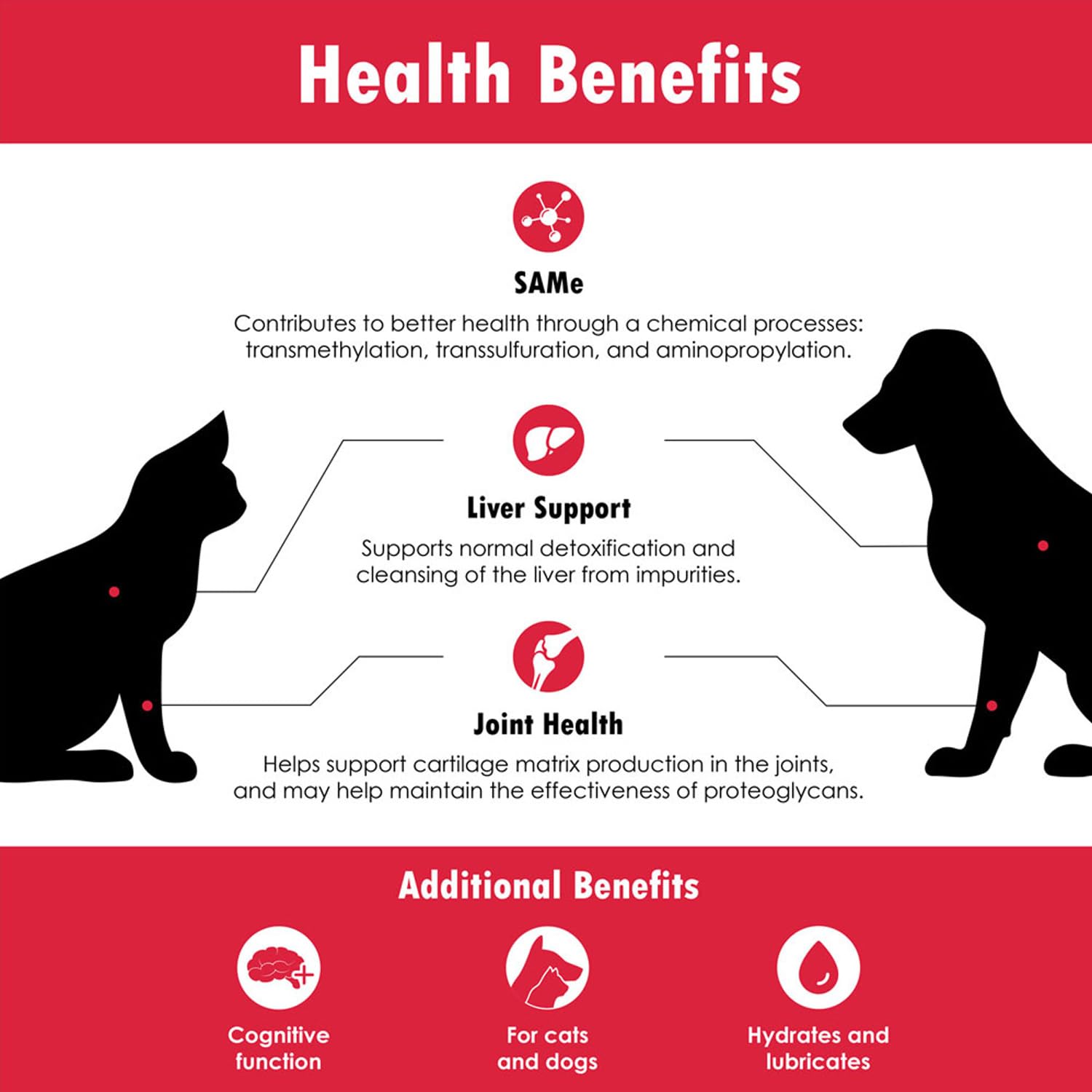 Vet-Approved S-Adenosyl-L-Methionine 400mg Tablets (180 Count) - Liver, Joint & Cognitive Support Supplement for Cats & Small Dogs - Supports Mobility, Liver Function & Brain Health - Perfect for Senior Pets & Post-Surgery Recovery