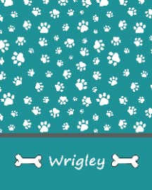 Personalized Dog Blanket Paws Name2