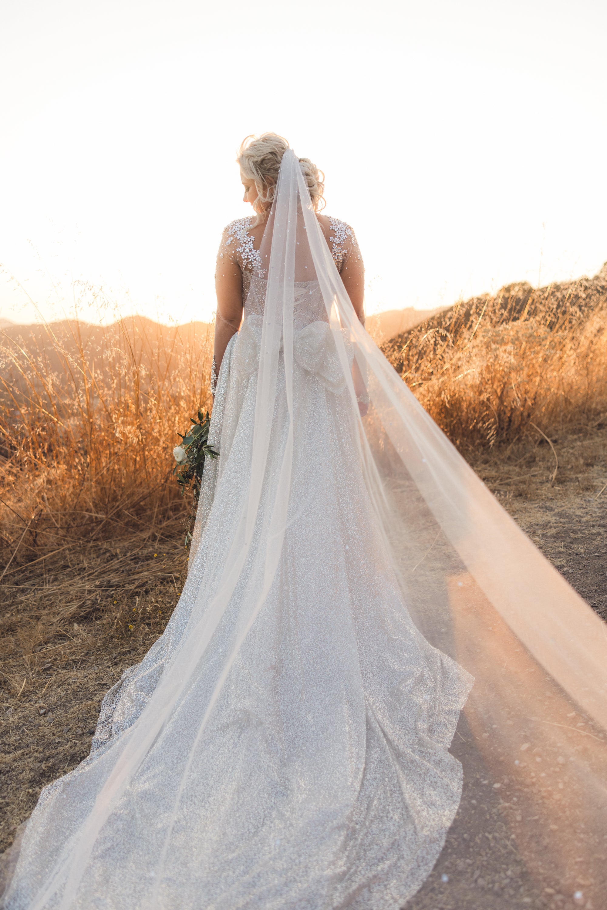 Elegant Bejeweled Cathedral Bridal Veil with Lace Trim - Perfect for Wedding Ceremonies & Formal Events