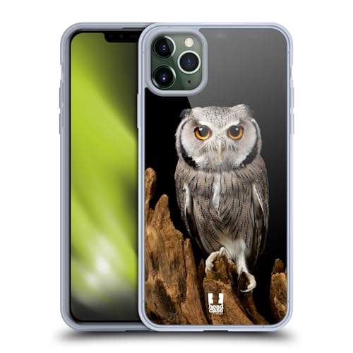 White-Faced Owl
