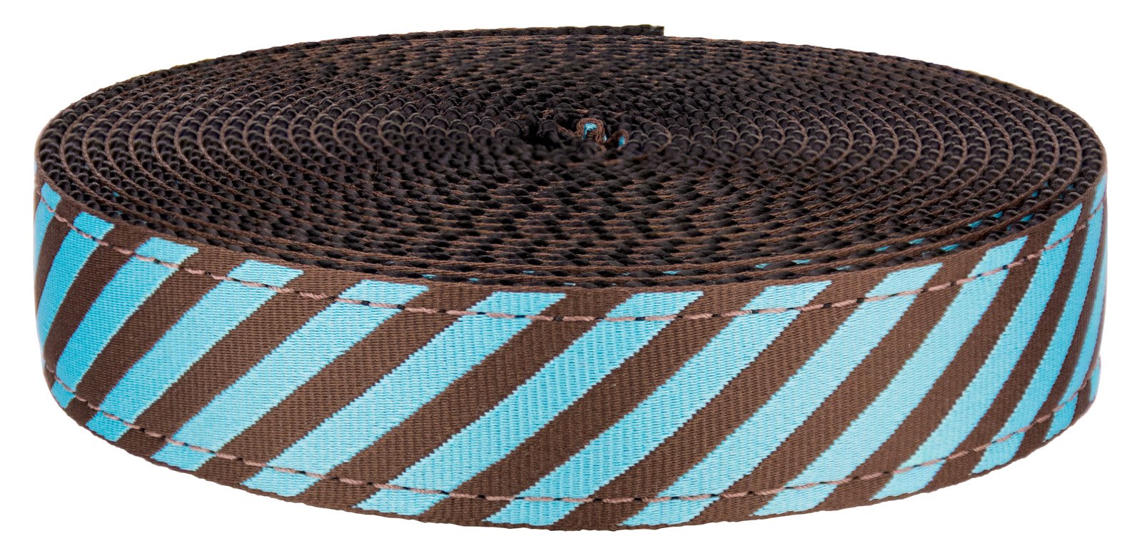 Country Brook Design 1 Inch Robin's Egg Blue Stripes on Black Nylon Webbing - 5 Yards Bulk Roll for DIY Crafts, Dog Collars, Bag Straps & Home Decor Projects
