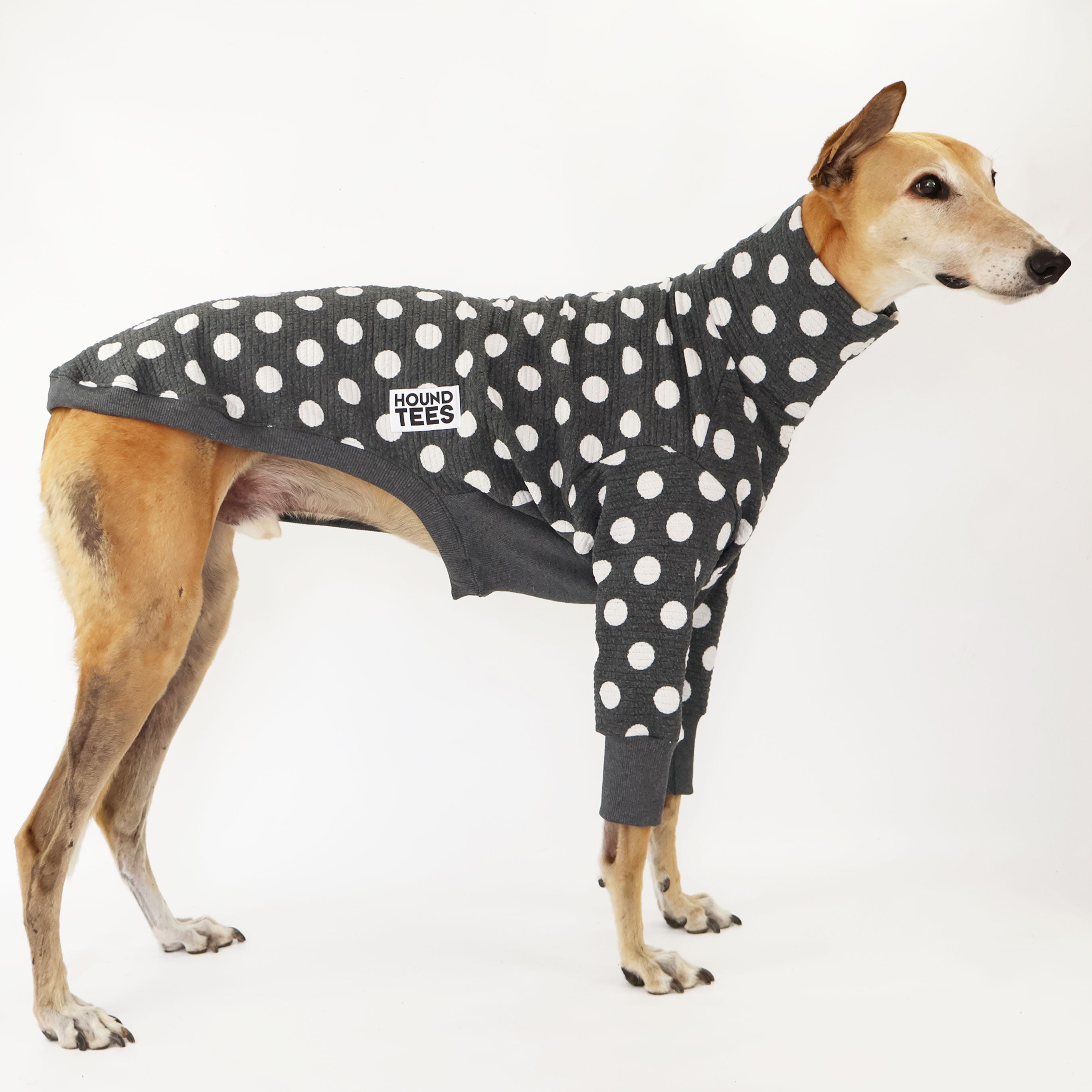Jitterbug Greyhound Quilted Sweater for Women - Cozy Winter Pullover with Stylish Dog Print | Perfect for Casual Outings, Dog Lovers & Cold Weather Fashion