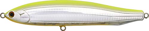 Chartback Orangeberry
