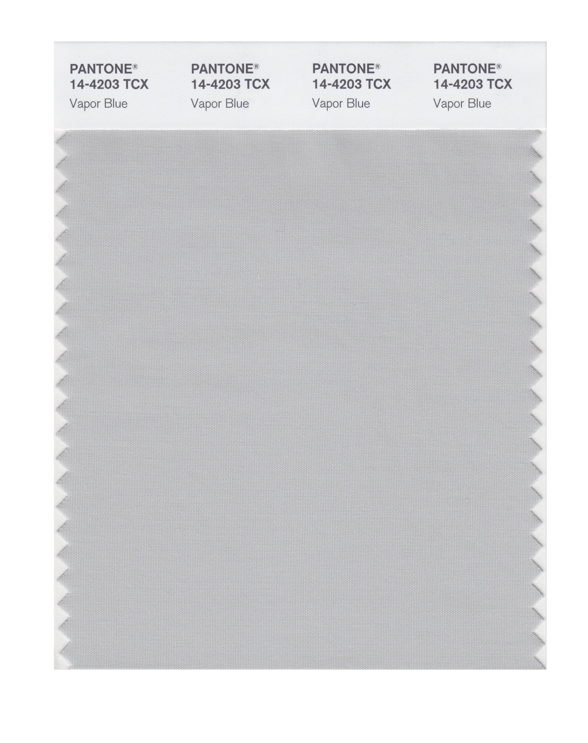 PANTONE Smart 14-4203X Vapor Blue Color Swatch Card | Professional Color Matching Tool for Graphic Design, Fashion & Home Decor