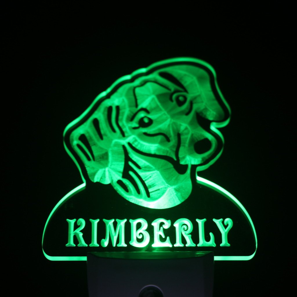 ADVPRO ws1065-tm Personalized Dachshund Dog Night Light with Name - LED Pet Sign with Day/Night Sensor - Perfect for Bedroom, Nursery & Pet Lover Gifts