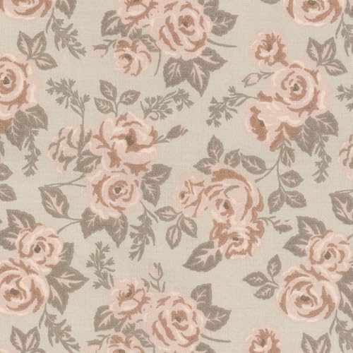 Cameo Rose
