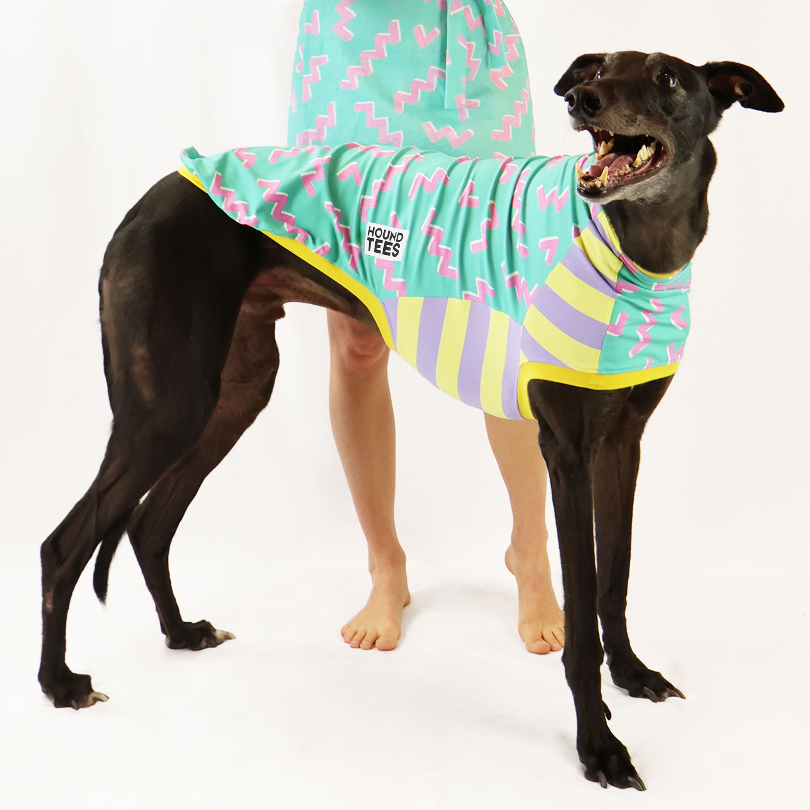Zag Greyhound Sleeveless Hound Tee - Comfortable Dog Lover T-Shirt for Men & Women - Perfect for Casual Wear, Dog Parks & Pet Lovers Outfits
