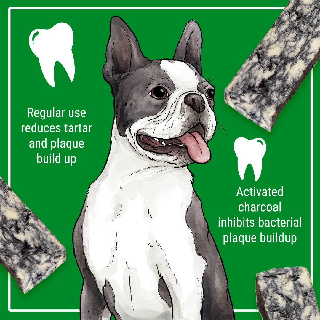 Natural Himalayan Dog Chew Cheese Treat with Activated Charcoal - Medium Size for Dental Health & Long-Lasting Chewing - Perfect for Teething Puppies and Aggressive Chewers
