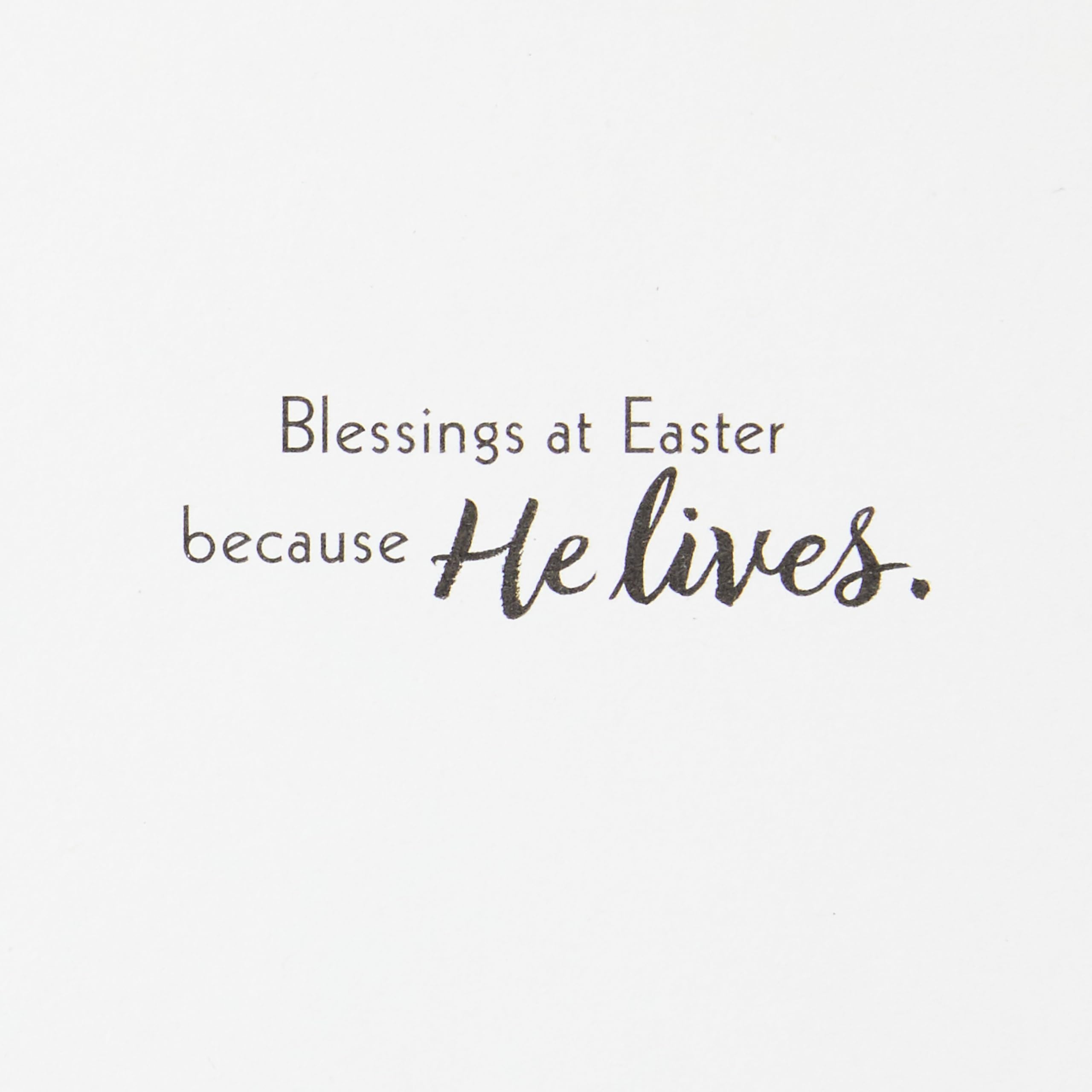 Dayspring Religious Easter Cards - Pack of 10 Greeting Cards with Envelopes, Inspirational Easter Blessings for Church, Family & Friends - Perfect for Easter Sunday Celebrations & Spring Holiday Gifting