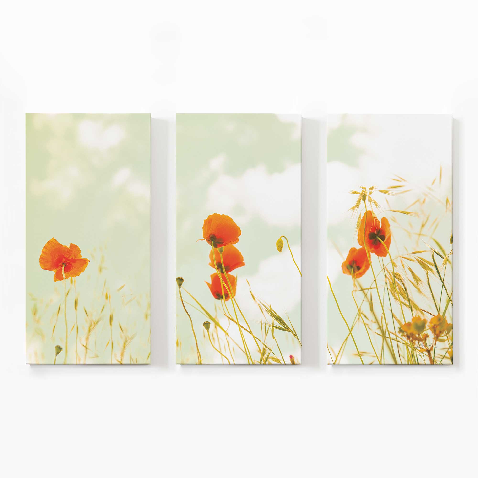 Gentle Poppy Breeze Large Canvas Print - Floral Wall Art for Living Room, Bedroom & Office Decor - Perfect for Home, Wedding & Gift Giving