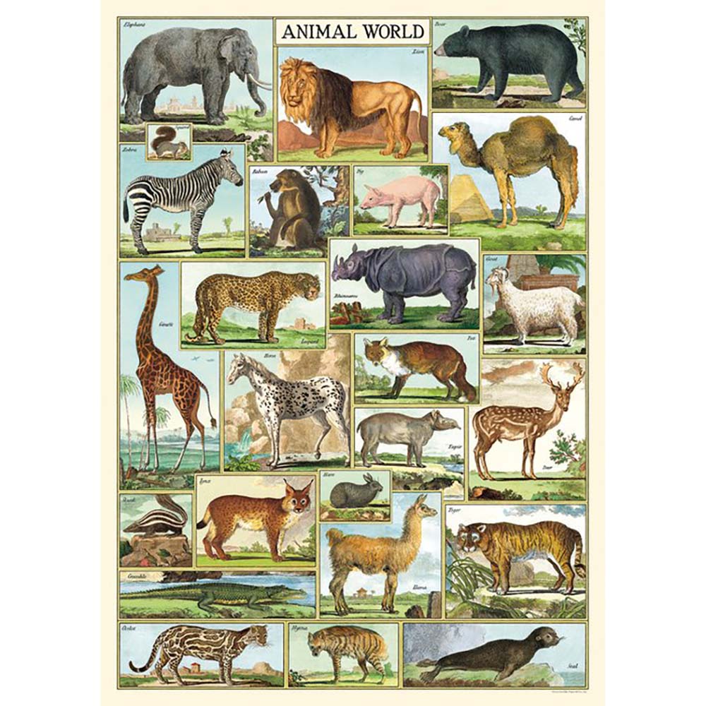 Animal Print Wrapping Paper - Jungle Safari Theme Gift Wrap for Birthday, Christmas, Party Decorations - Perfect for Kids Room, Scrapbooking & DIY Crafts