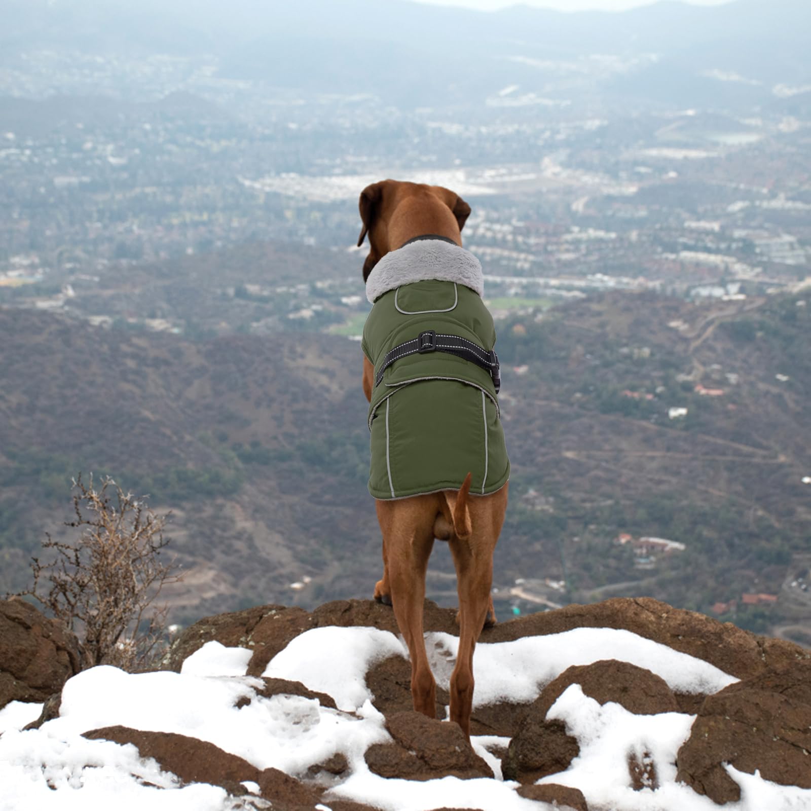 Lelepet Reflective Waterproof Dog Jacket - Windproof Fleece Vest for Large Dogs, Adjustable Buckle Winter Coat for Cold Weather & Snow - Perfect for Outdoor Walks, Hiking, and Winter Adventures