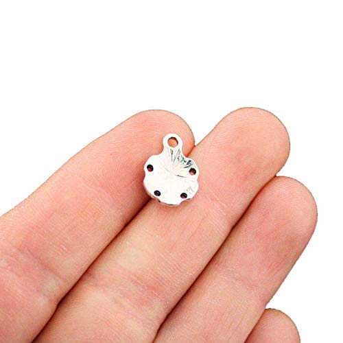 20PCS Antique Silver Sand Dollar Charms Bulk Wholesale - SC6694 for Jewelry Making, DIY Crafts, Beach Theme Decorations