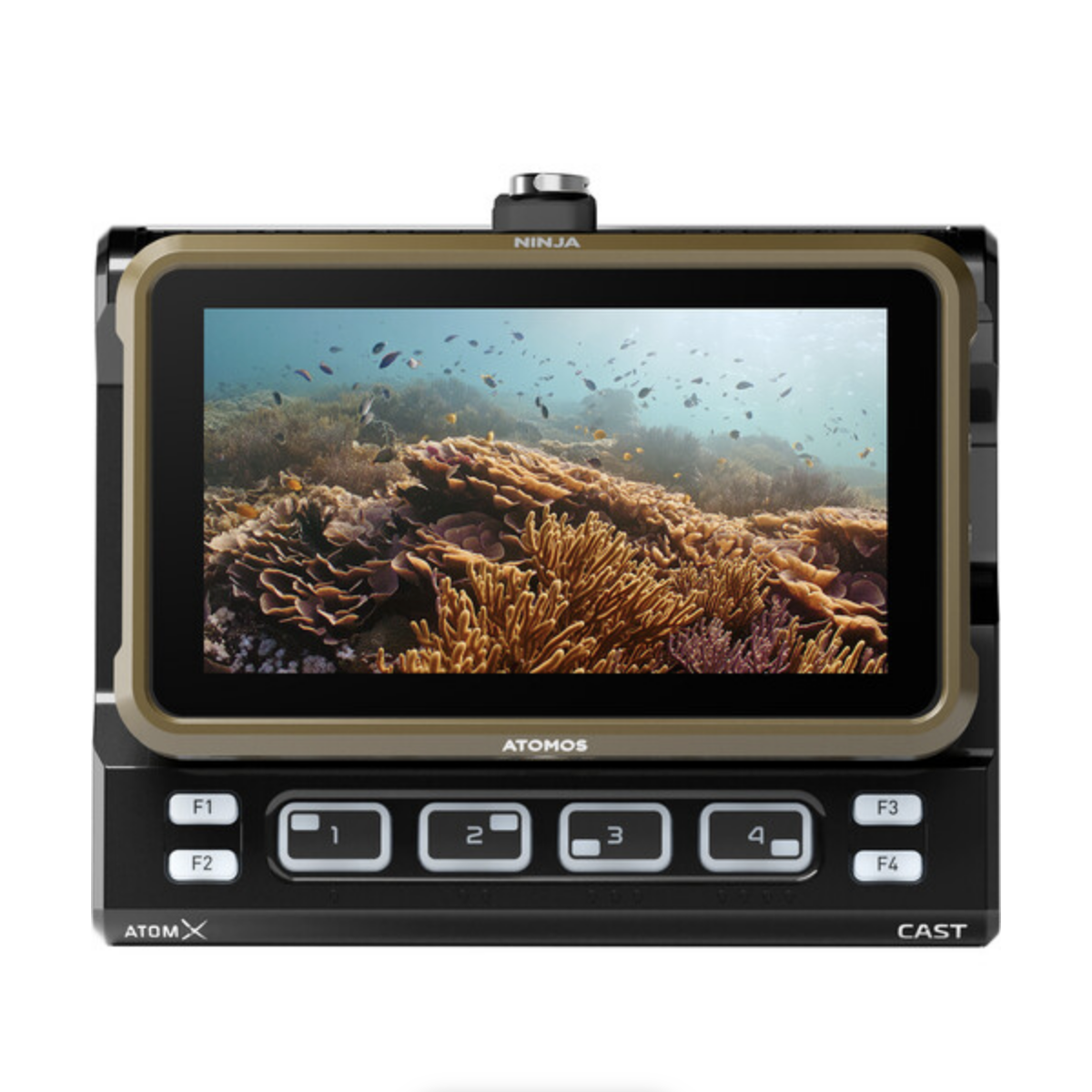 Atomos Ninja V 5.2