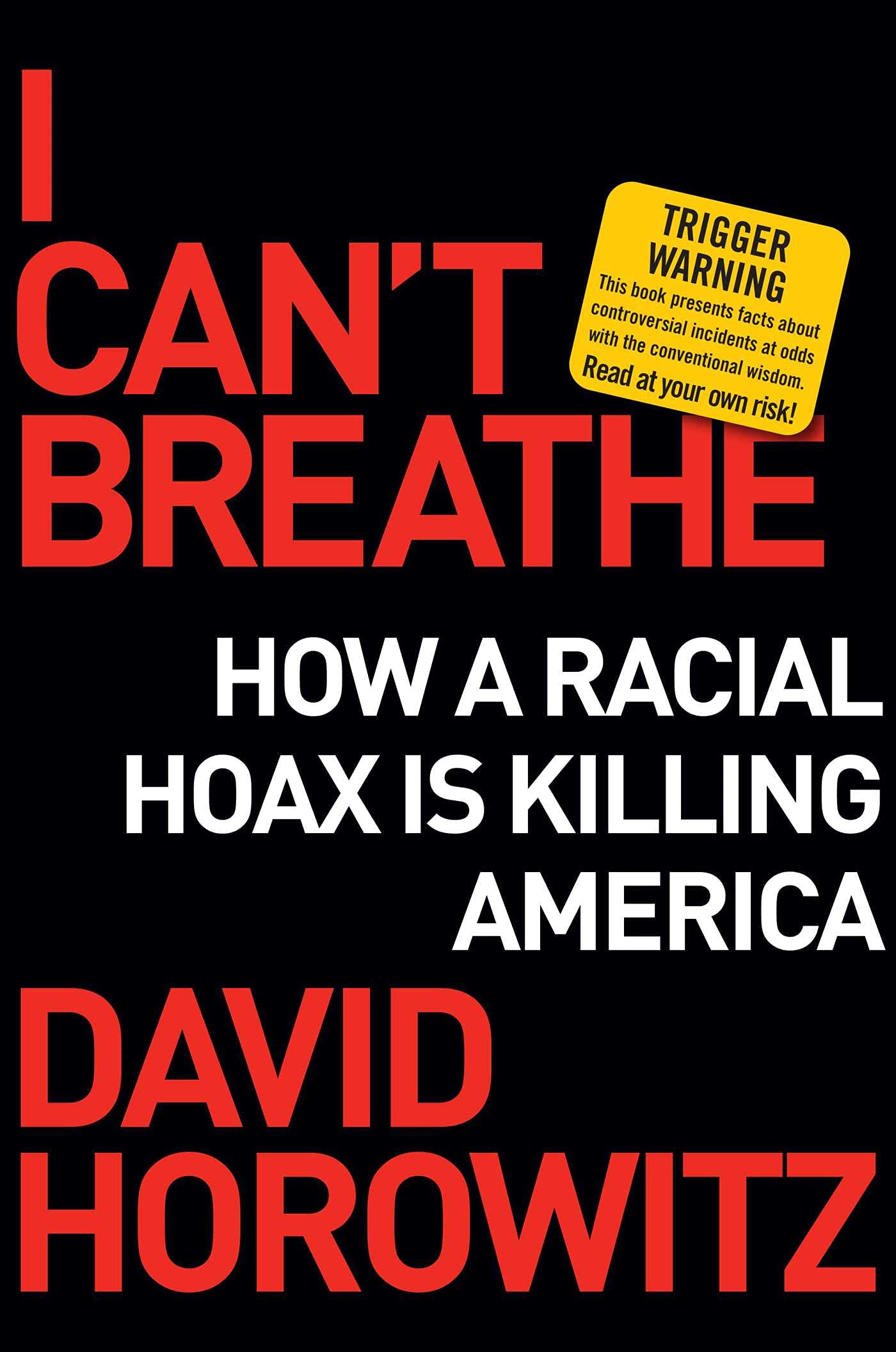 I Can't Breathe: How Racial Hoaxes Impact America - Social Justice Book for Political Discussions & Classroom Debates