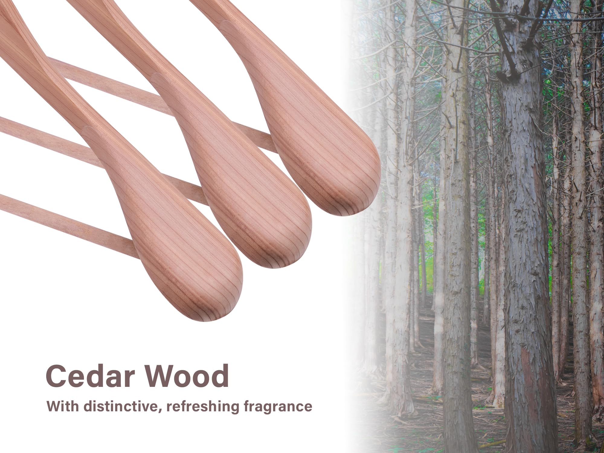 Premium Red Cedar Wood Hangers 6-Pack - Extra Wide Shoulder Wooden Closet Organizers for Suits, Coats, Jackets & Pants - Natural Aromatic Cedar for Wardrobe Protection & Luxury Closet Storage