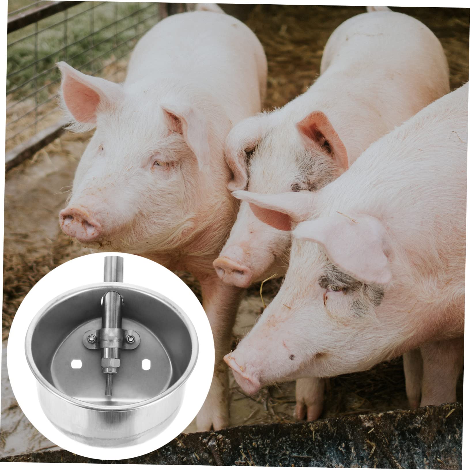 BESPORTBLE 2-Pack Stainless Steel Automatic Water Fountain for Pigs & Pets - Durable Outdoor Drinking Bowl for Farm Animals, Livestock, and Household Pets - Perfect for Barns, Coops, and Backyards