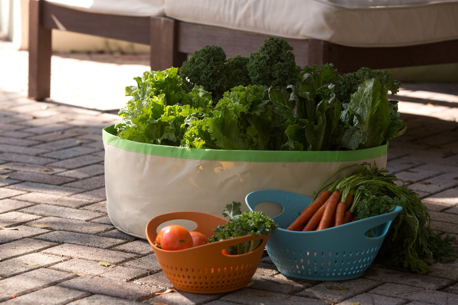 Organic Herbs and Greens Grow Bag - Self-Watering Planter for Indoor & Outdoor Gardening - Perfect for Fresh Basil, Mint, Parsley, and Lettuce - Ideal for Kitchen, Balcony, and Urban Farming