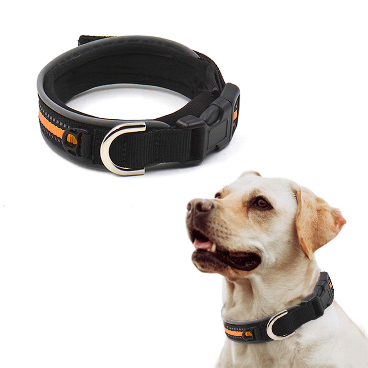 Greeney Reflective Dog Collar - Adjustable Medium to Large Dog Collar for Outdoor Walking, Running & Night Safety (XL, Orange) - Perfect for Night Walks, Jogging & Outdoor Adventures