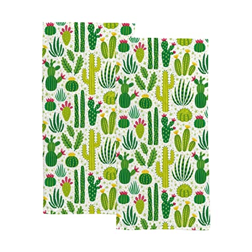 Cute Cactus