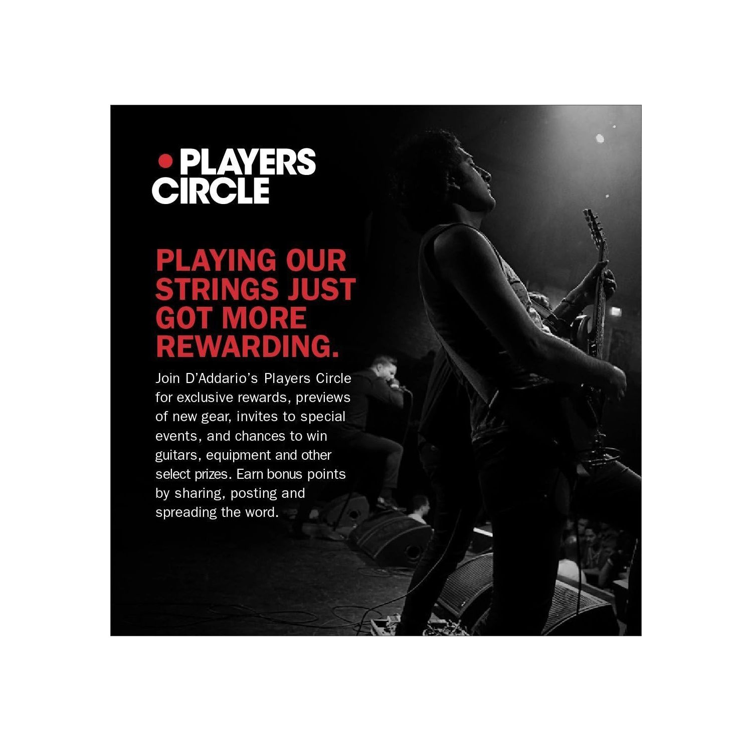 D'Addario Custom Light Gauge (.011-.052) Coated Phosphor Bronze Acoustic Guitar Strings - Perfect for Folk, Country & Fingerstyle Playing