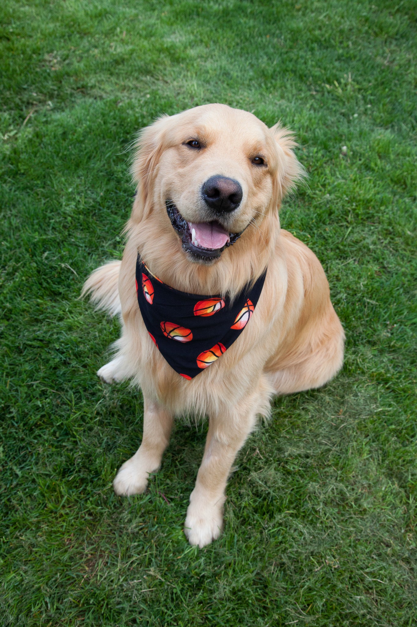 Stylish Slam Dunk Pet Bandana for Dogs & Cats - Perfect for Basketball Games, Pet Parties & Daily Walks