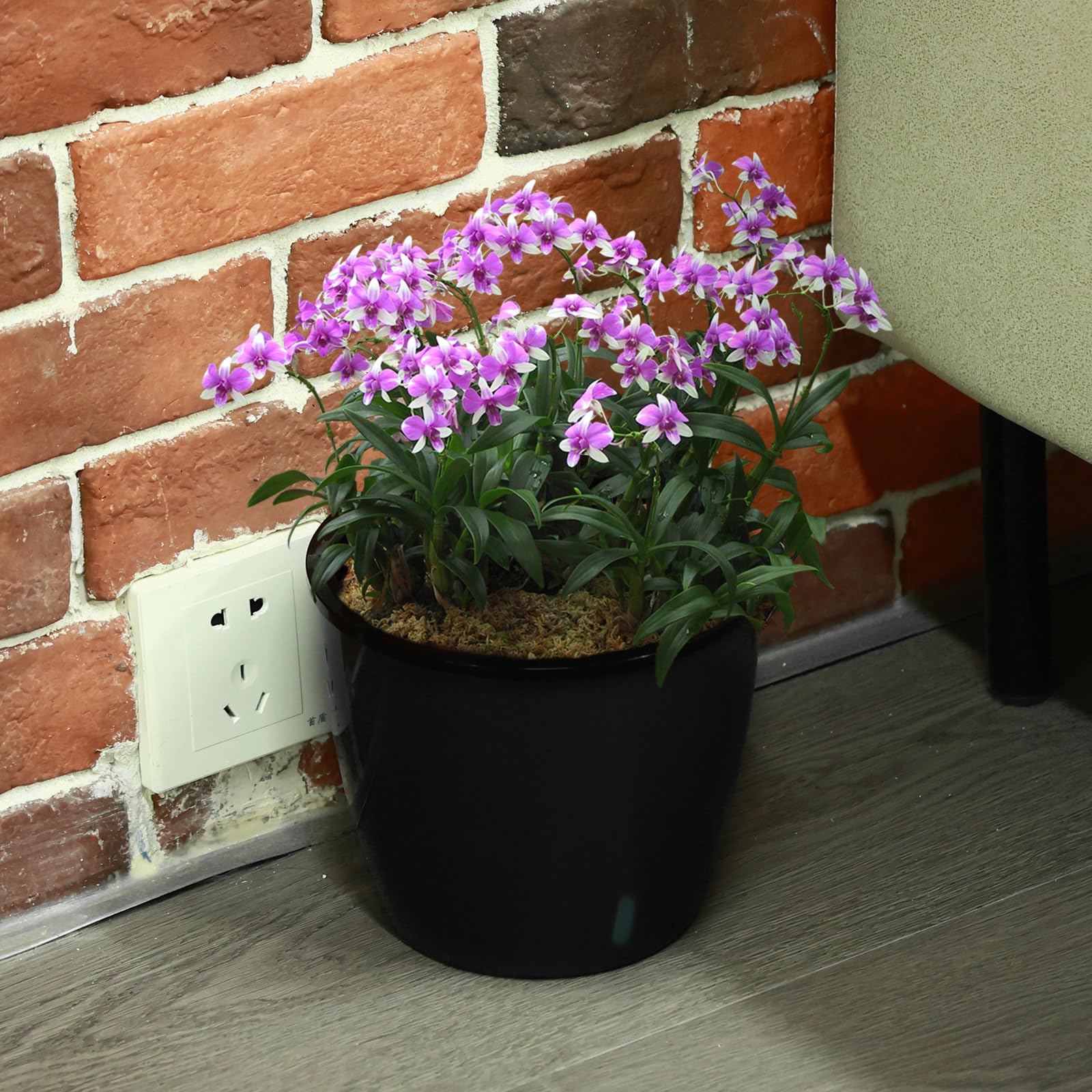 Planterhoma 5 Inch Self Watering Plant Pots - 6 Pack African Violet Pots with Water Level Indicator, Drainage Holes & Wick System - Ideal for Orchids, Devil's Ivy, Succulents & Indoor Plants - Perfect for Home, Office Decor & Gardening Gifts