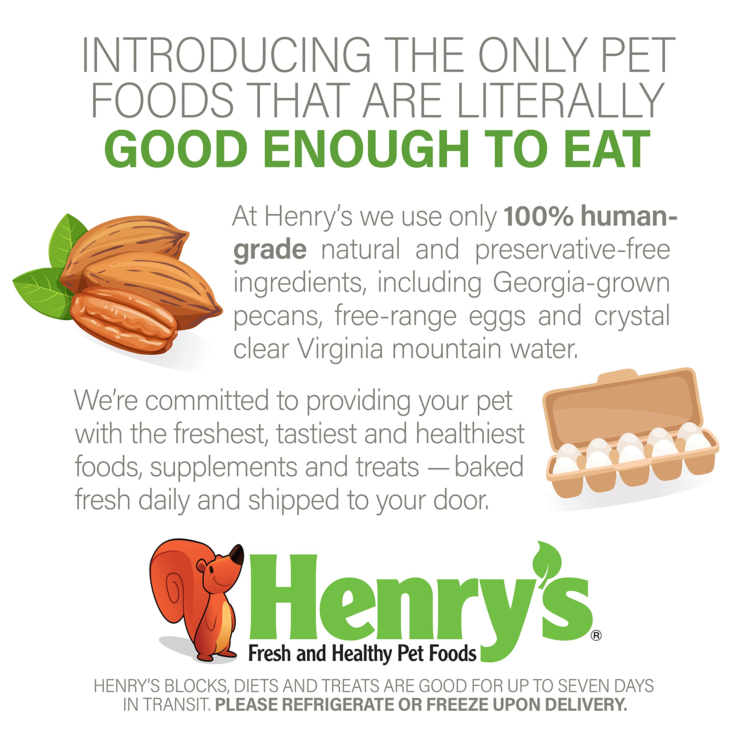 Henry's Hazelnut Blocks - Complete Nutrition Food for Squirrels, Flying Squirrels & Chipmunks, 11oz - Wild Animal Treat for Backyard Feeding & Wildlife Observation