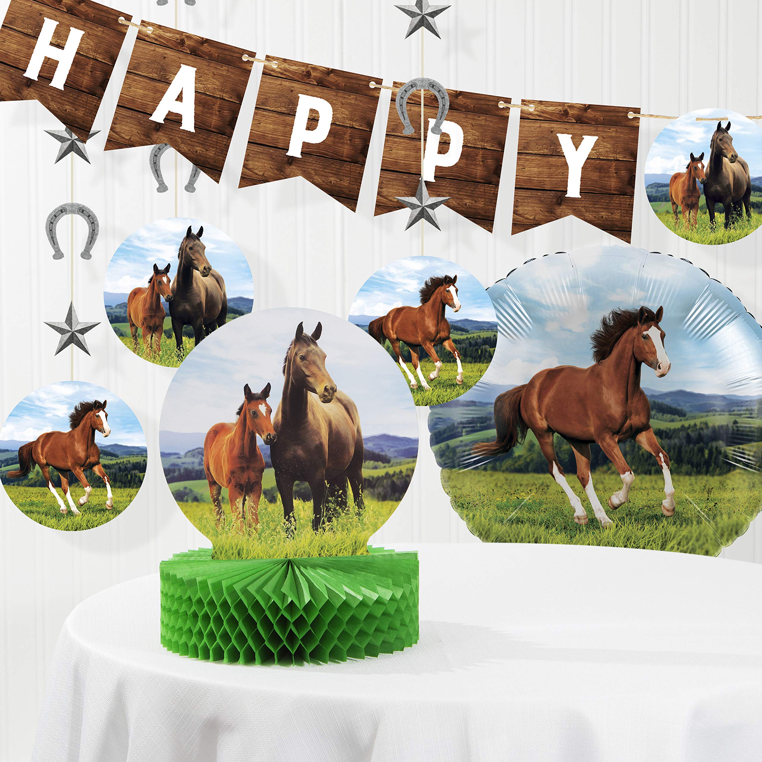 Wild Horse Birthday Party Decorations Kit - Western Theme Party Supplies for Cowboy Birthday, Baby Shower, Barnyard Celebration