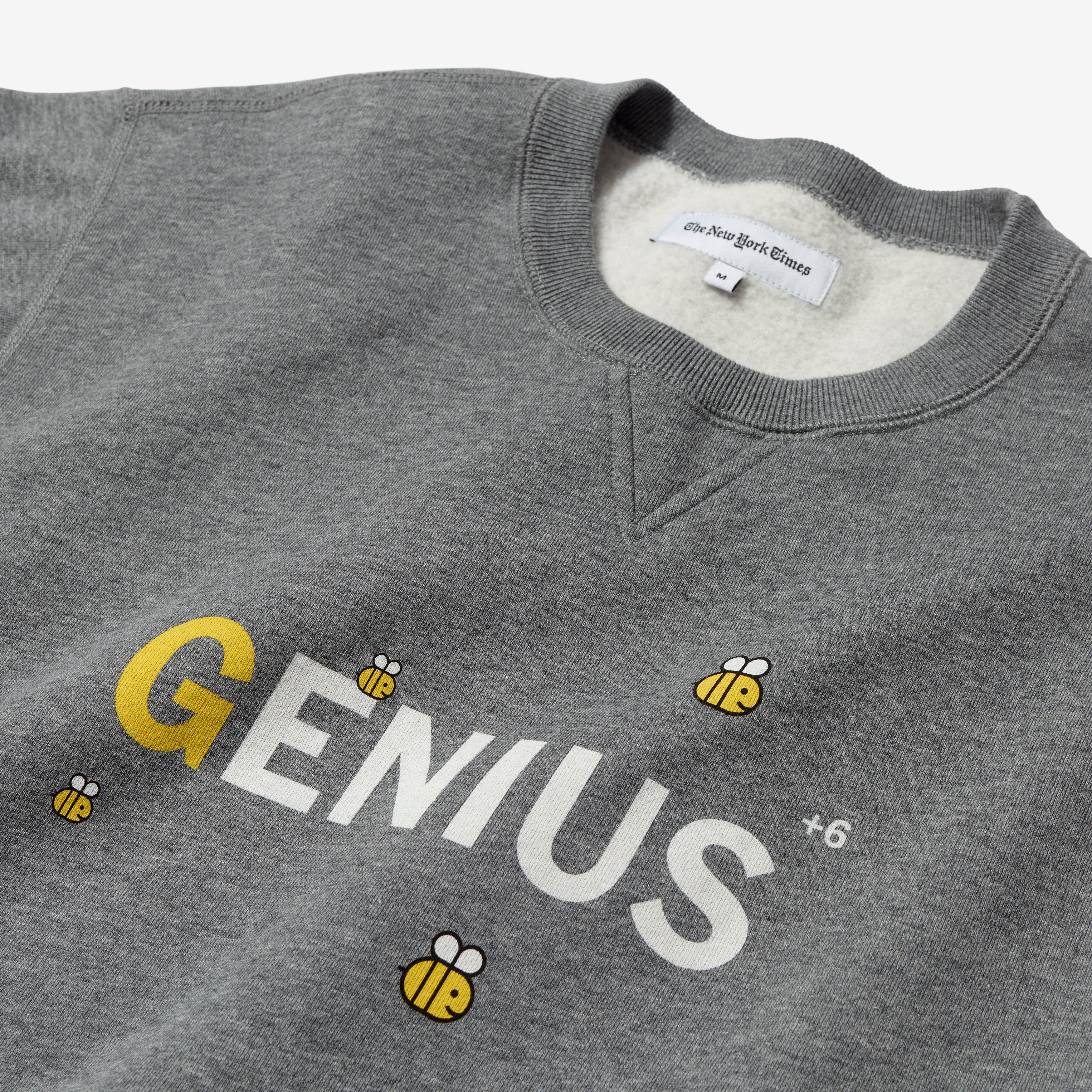 Spelling Bee Genius Sweatshirt - Cute & Comfortable Pullover for Spelling Competitions, School Events & Nerdy Fashion - Perfect Gift for Students & Word Lovers