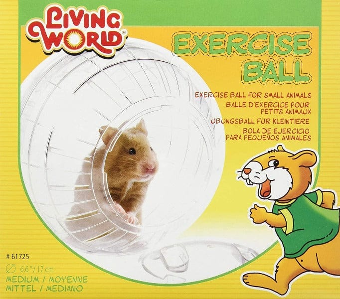 Living World Exercise Ball with Stand - Stability Ball for Yoga, Pilates & Home Workouts - Perfect for Fitness, Balance Training & Office Seating