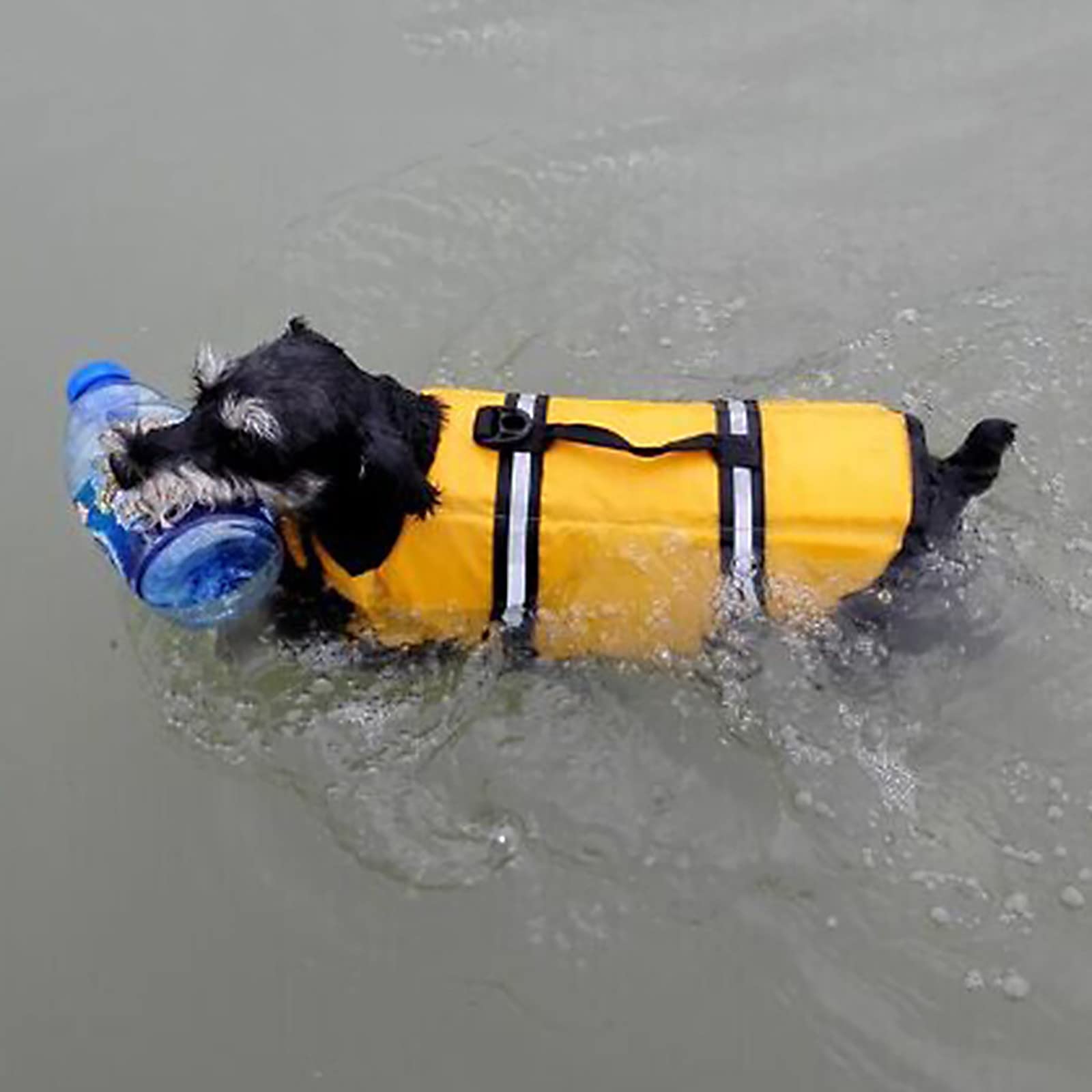 Adjustable Dog Life Jacket with Reflective Stripes - High Buoyancy Pet Life Vest for Small, Medium & Large Dogs (Sizes A-XL) - Perfect for Swimming, Boating & Water Safety
