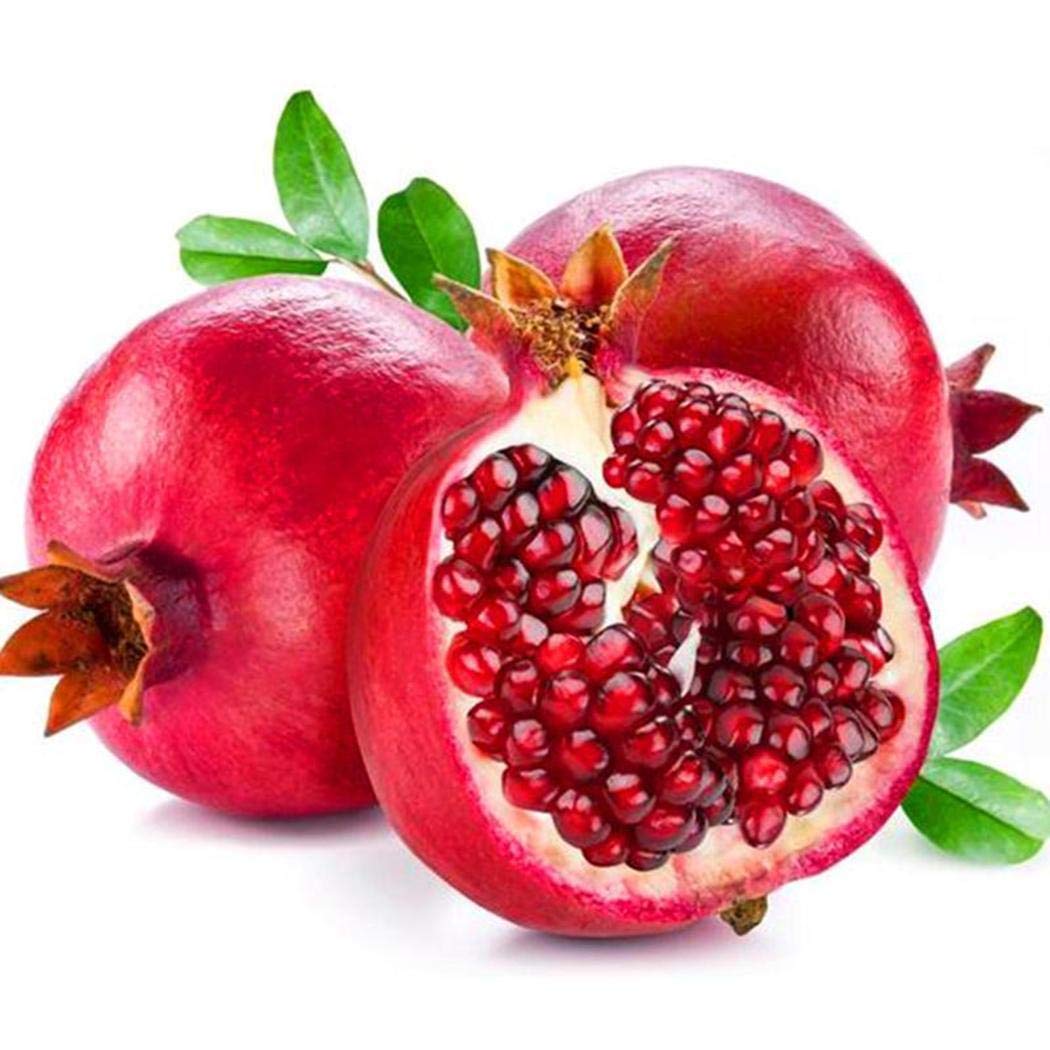 30 Pcs Pomegranate Bonsai Seeds - Grow Delicious Fruit Trees for Home Garden, Indoor & Outdoor Planting | Perfect for DIY Gardening, Landscaping, and Fresh Fruit Harvesting