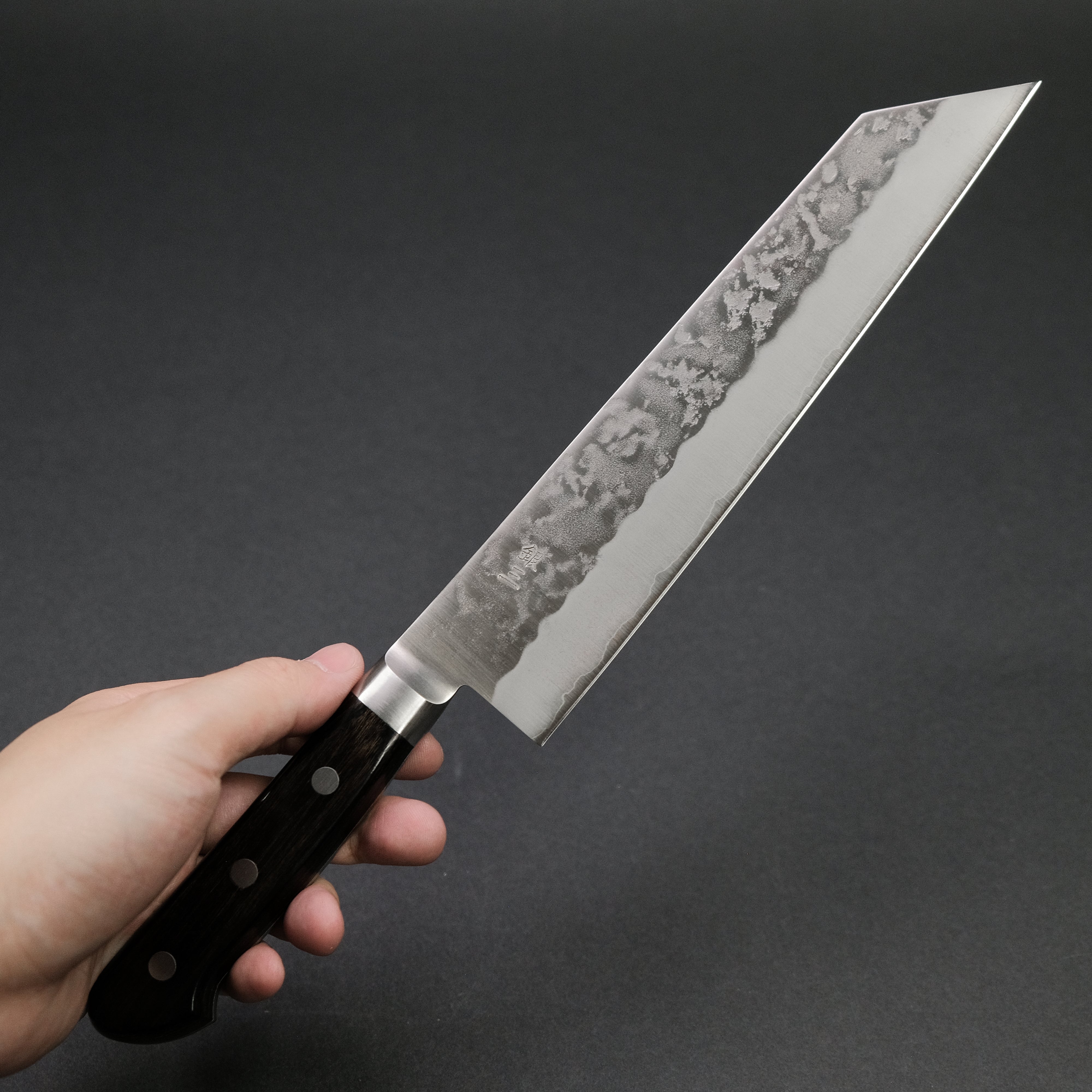 Premium Ohishi Ginsan Nashiji Kiritsuke Knife 210mm with Pakka Wood Handle - Japanese Kitchen Knife for Sushi, Sashimi & Precision Cutting