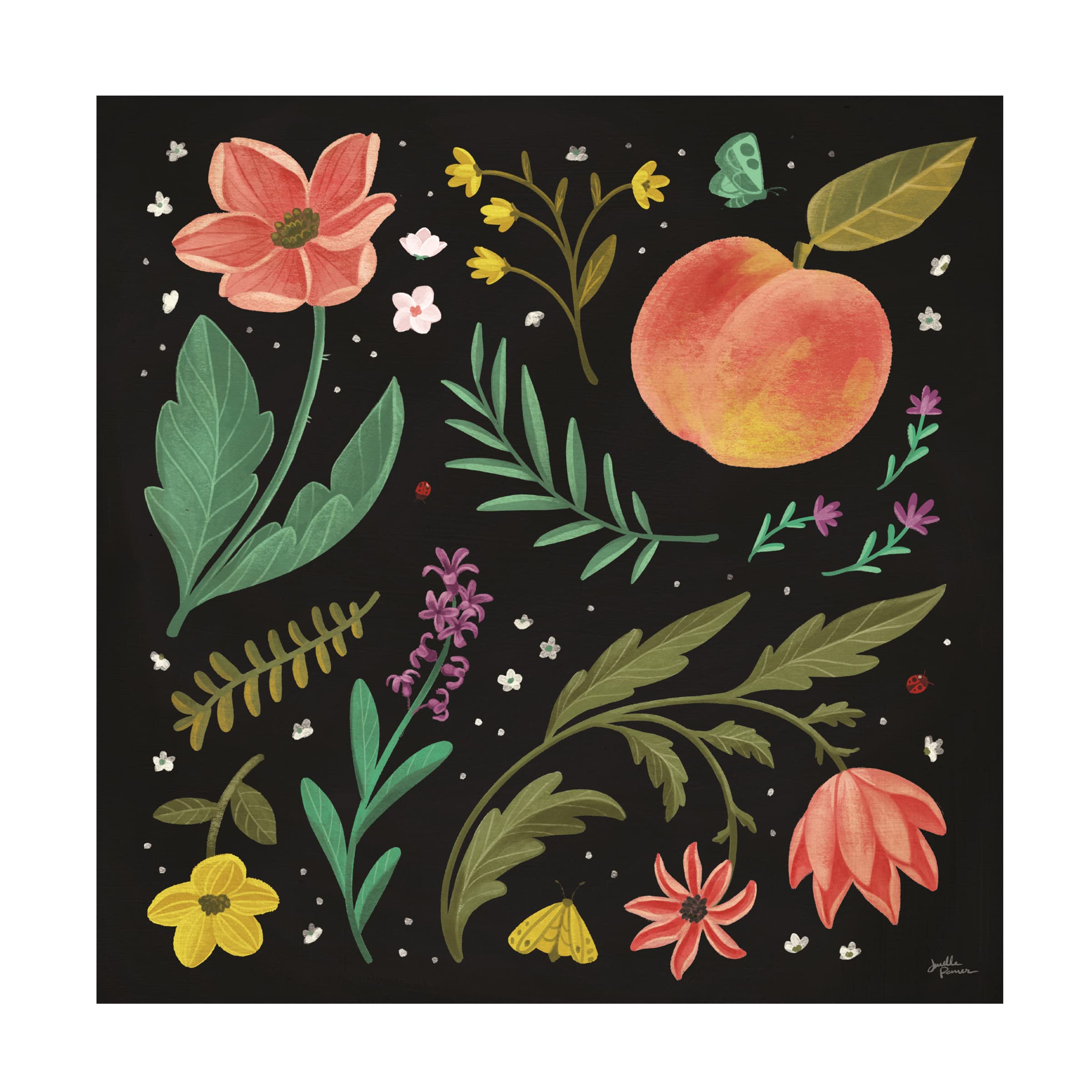Janelle Penner Spring Botanical II Black Canvas Wall Art - Modern Floral Home Decor for Living Room, Bedroom & Office - Trademark Fine Art Collection