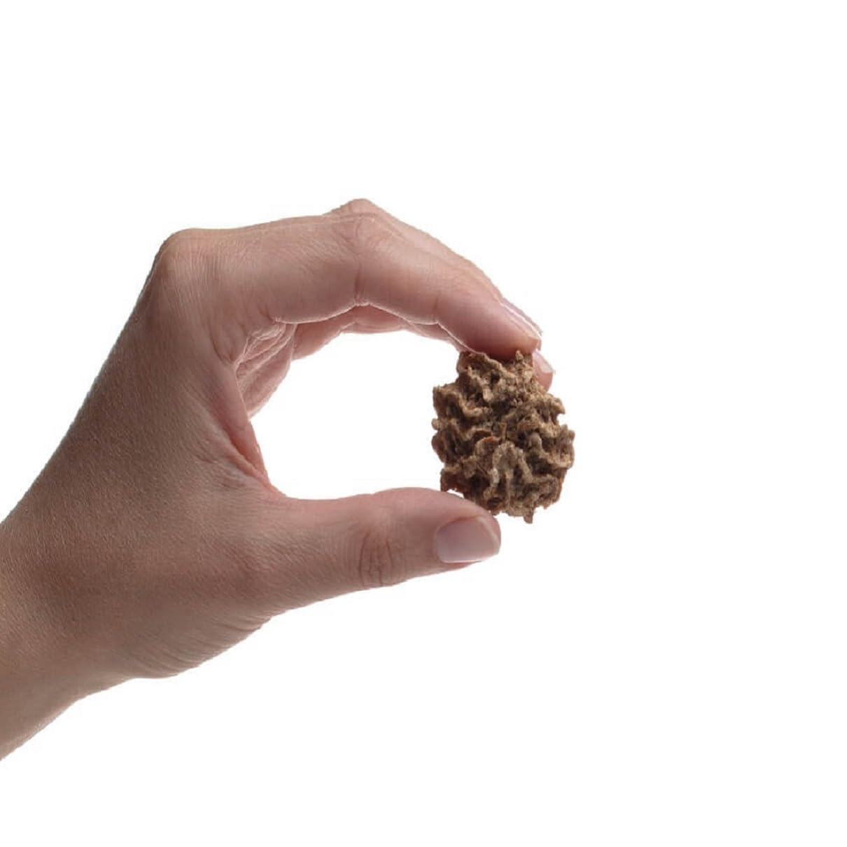 Beef Sweet Potato Dog Treats 1lb - Healthy Snacks for Pets