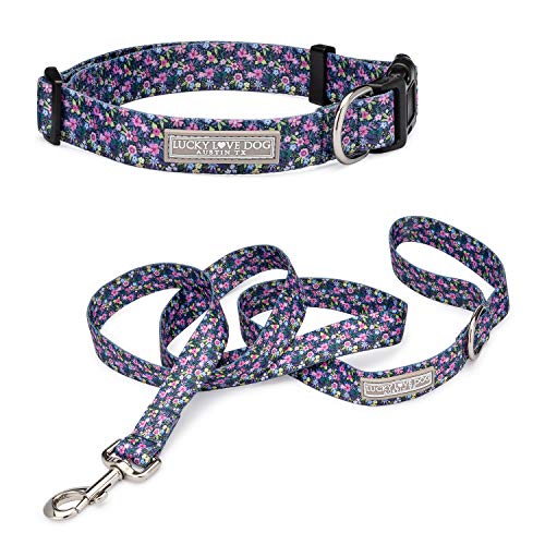 Primrose Collar/Leash Combo